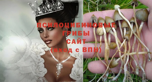 ешки Алзамай