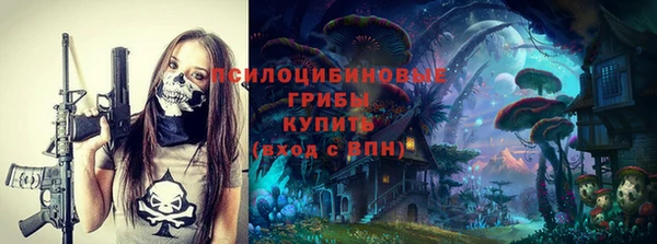 ешки Алзамай