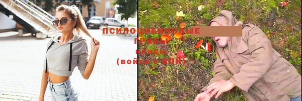 хмурый Алексеевка